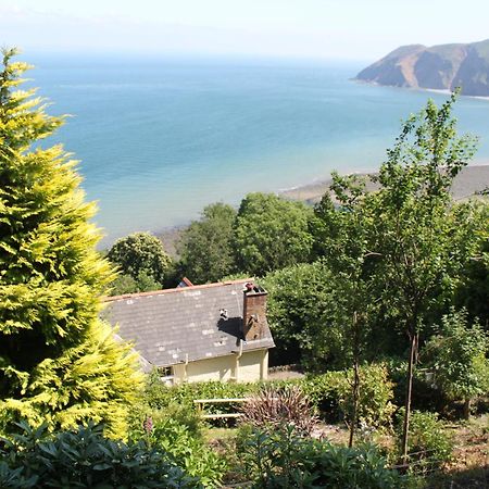 North Walk House Bed and Breakfast Lynton Exterior foto