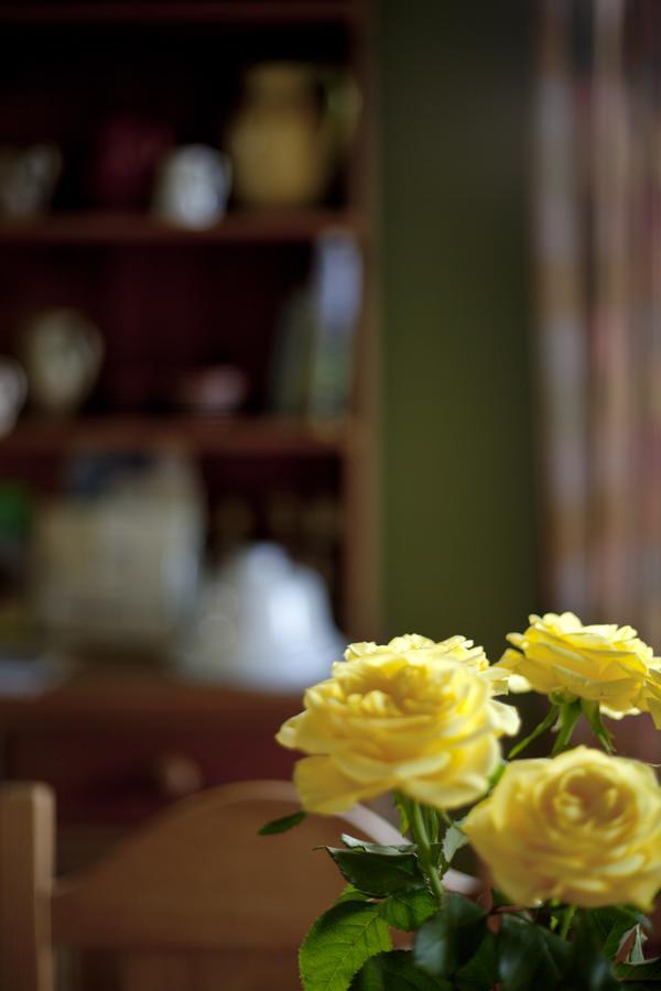 North Walk House Bed and Breakfast Lynton Exterior foto